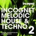 Melodic House & Techno Vol.2