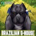 Brazilian G-House