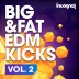 Incognet Big & Fat EDM Kicks Vol.2