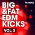 Incognet Big & Fat EDM Kicks Vol.3