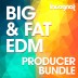 Incognet Big & Fat EDM Producer Bundle