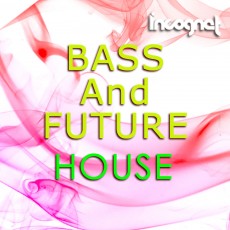 Incognet Bass And Future House Incognet Bass And Future House