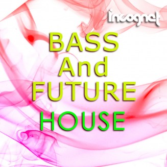 Incognet Bass And Future House