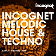 Melodic House & Techno