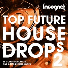 Top Future House Drops Vol.2