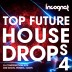 Top Future House Drops Vol.4