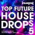 Top Future House Drops Vol.5