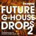 Future G-House Drops Vol.2