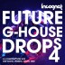 Future G-House Drops Vol.4