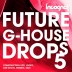 Future G-House Drops Vol.5