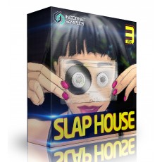 SLAP HOUSE VOL.3 SLAP HOUSE VOL.3